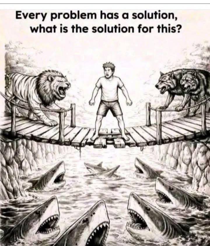 which solution ???