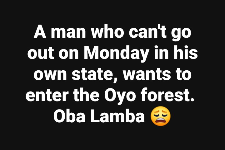 fir the lazy men