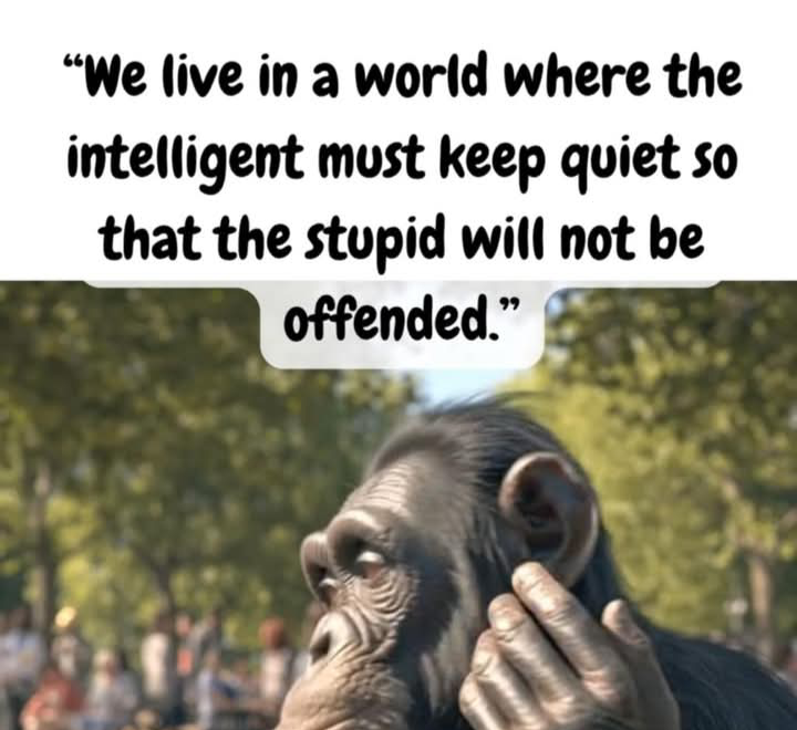 from the new world order