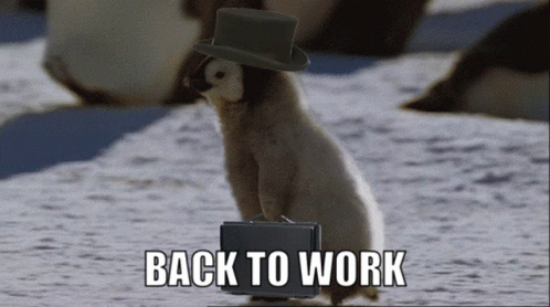Back to work
