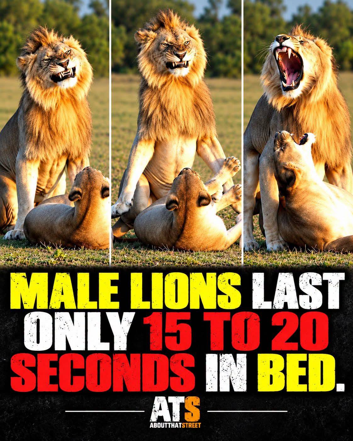 Nor kill yaself