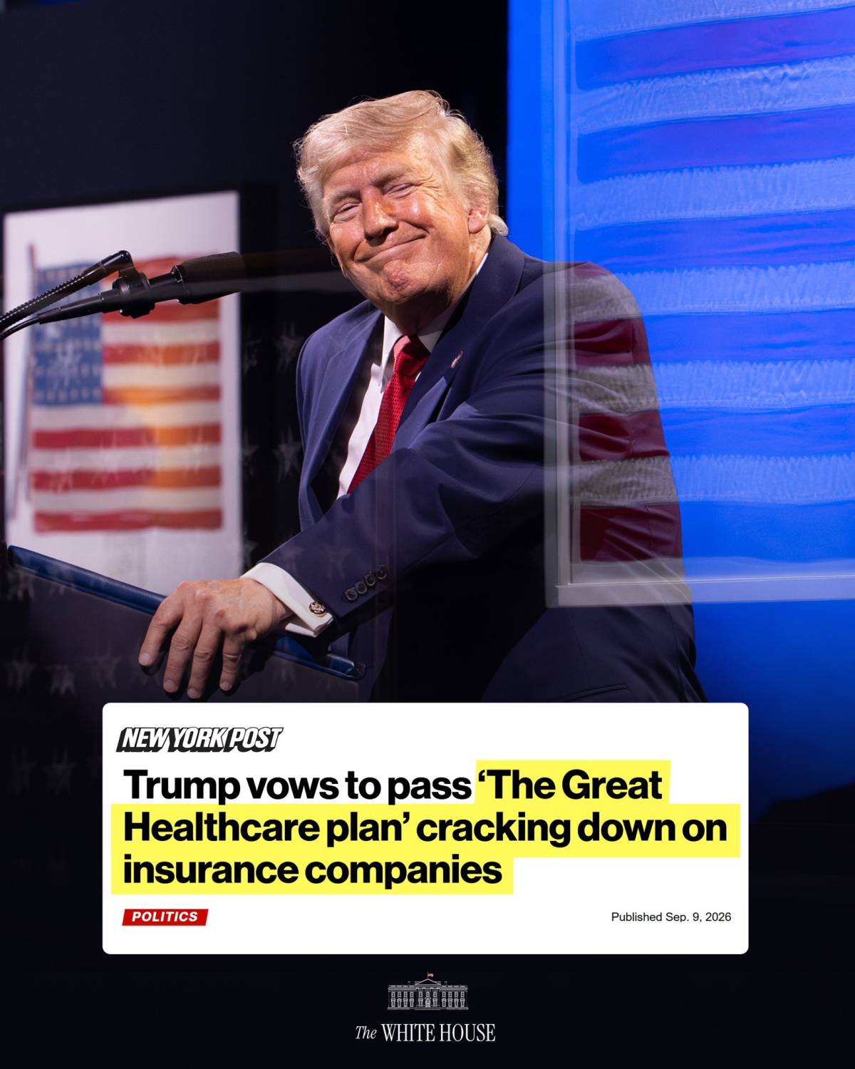 "We will pass the Great Healthcare plan to stop all government payments to big insuranceĀ companies,Ā ...
