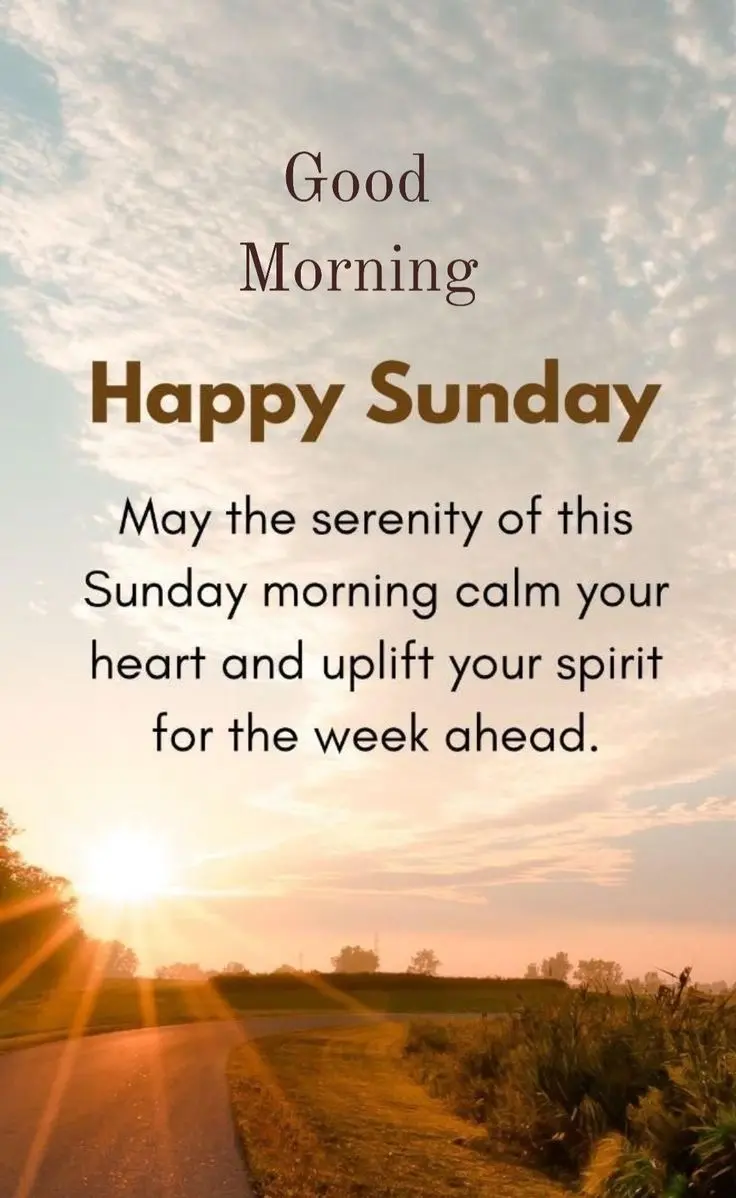 Good morning my Neighbours ❤️❤️
A blessed Sunday to you all