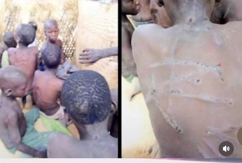 Today is International Children’s Day and these children are in the bush.🥹
I’ve been hearing about...