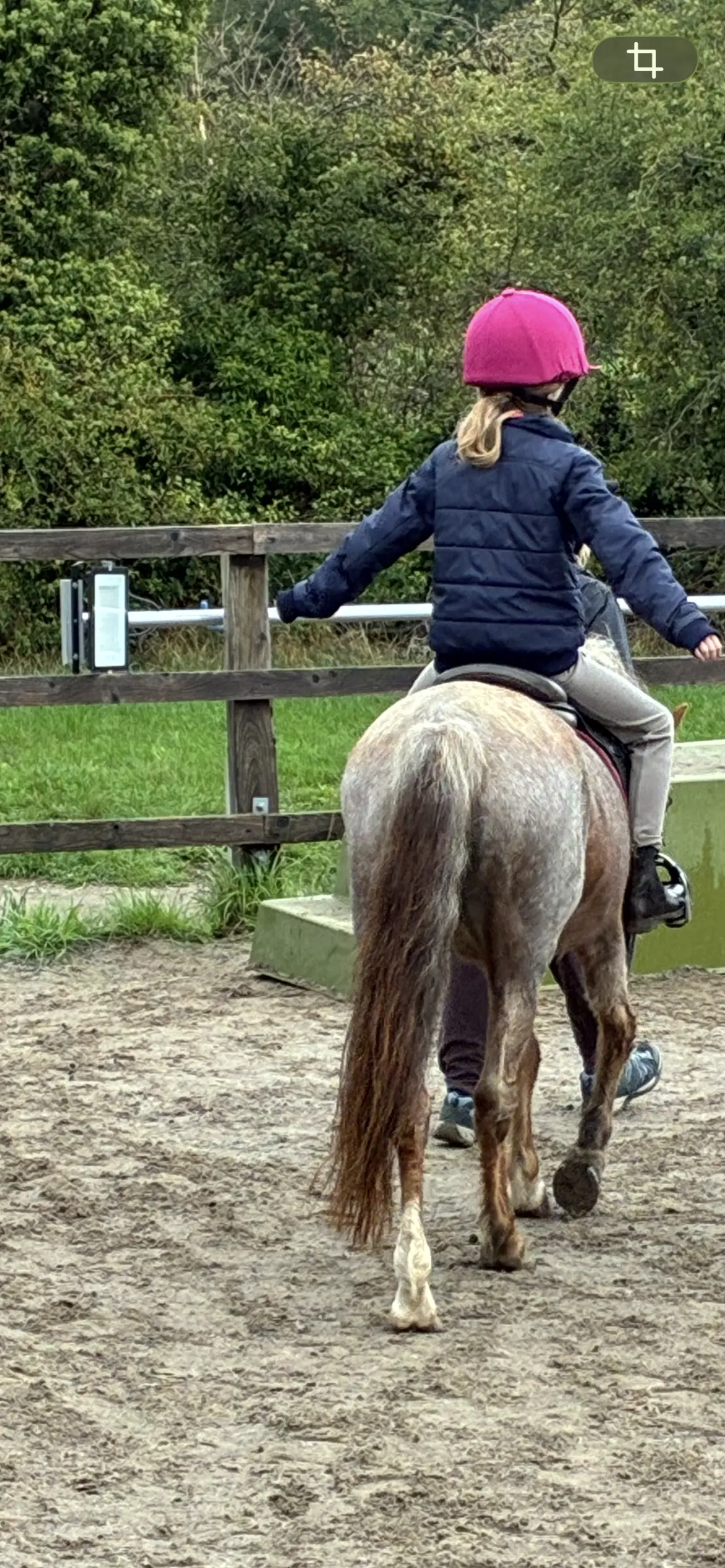 Best way to spend a morning ๐