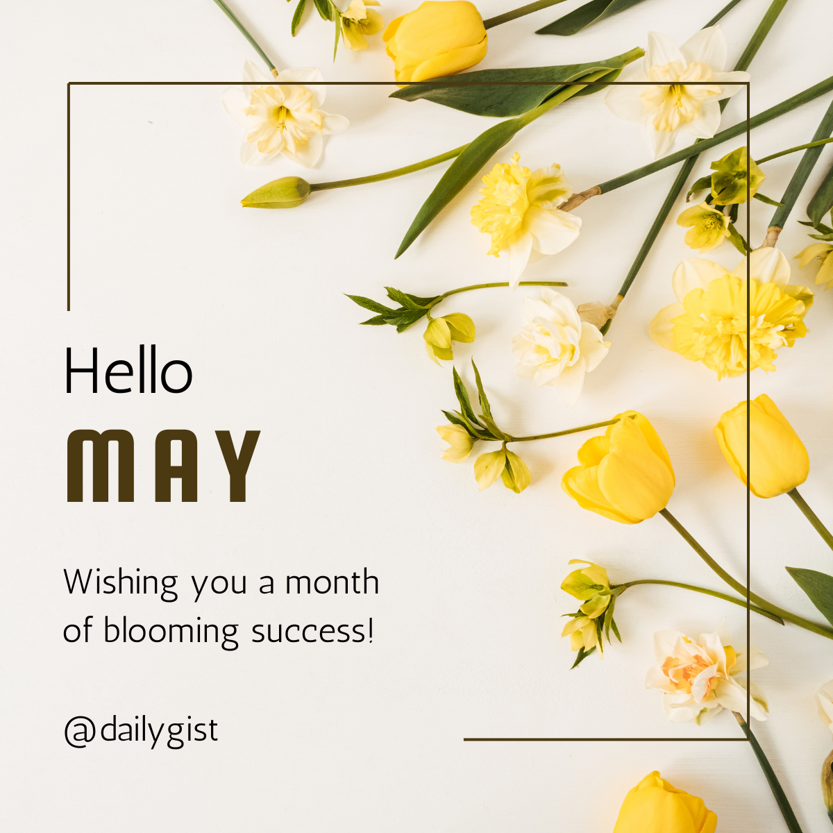 Hello May 🌿✨
Hello May.
A new month filled with fresh energy, new goals, and endless possibilitie...