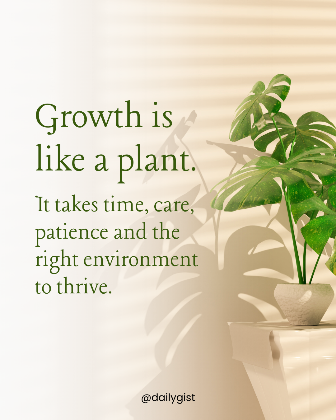 Growth is like a plant. It doesn’t happen overnight.

It takes time to develop roots, care to stay n...