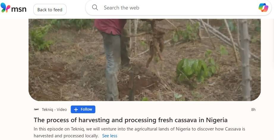 The process of harvesting and processing fresh cassava in Nigeria
In this episode on Tekniq, we will...