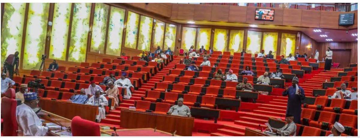 Your Excellency President Tinubu and Senate President Akpabio, Opposition parties, independent candi...