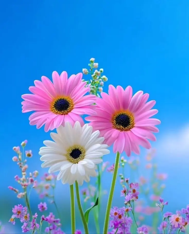 If you don’t control how you help people, helping others will destroy your own financial future.
Go...