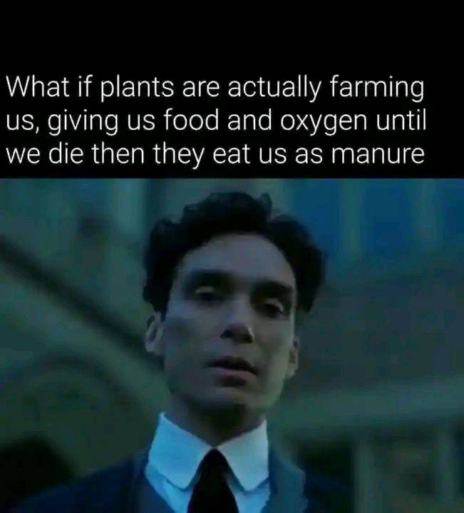 It's just a question that needs an answer
Reply lets yur opinion help