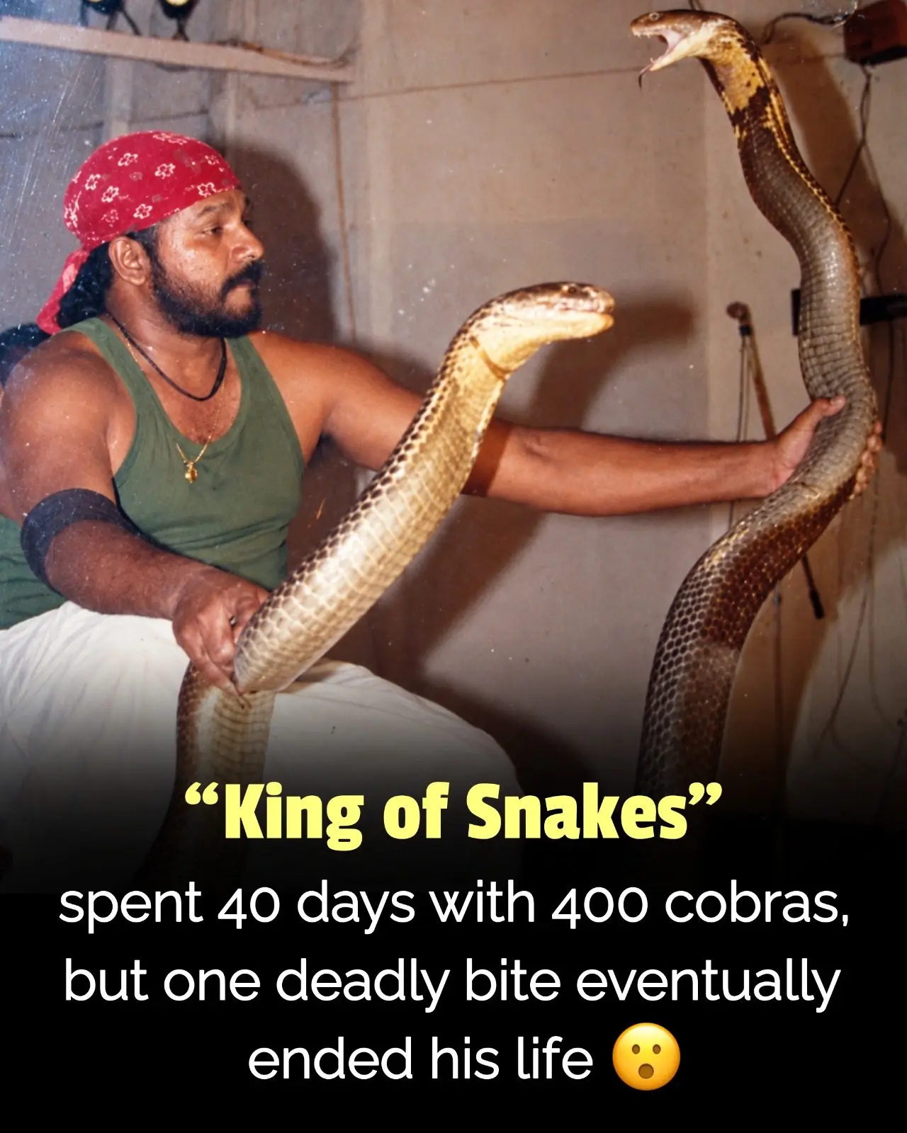 🐍 Man Locked Himself With 400 Cobras