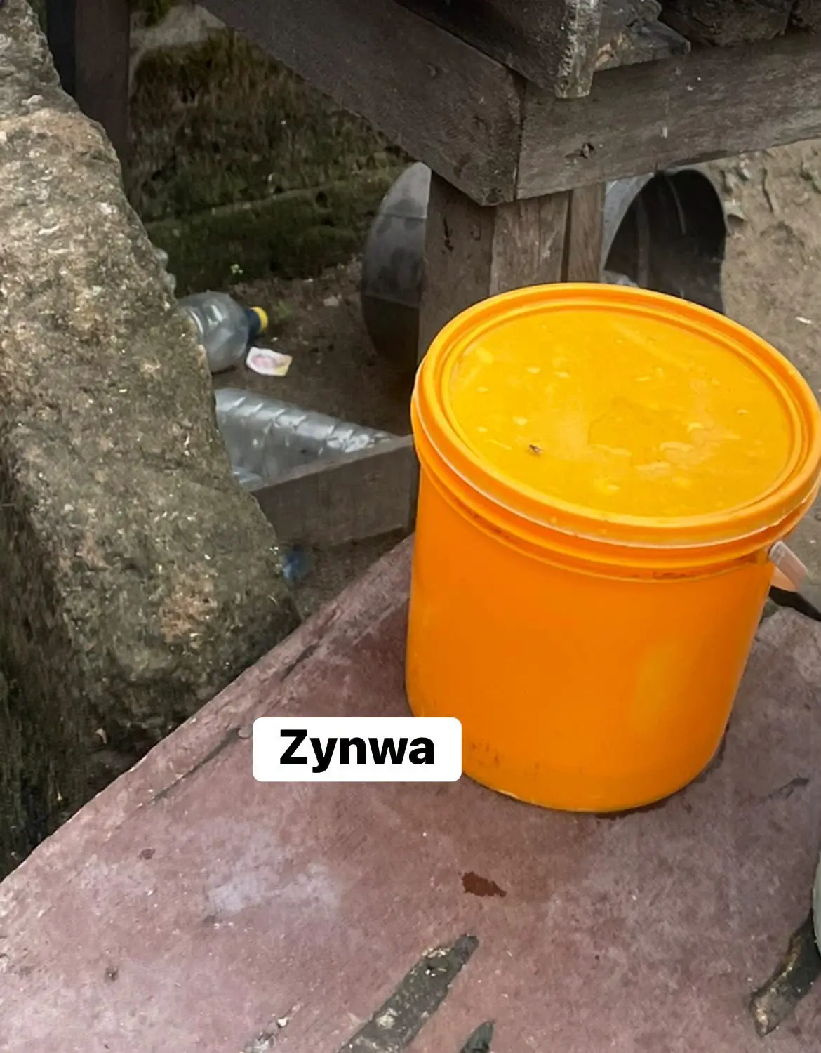 Something happened on Saturday. A lady came to see her boyfriend in a public compound. She didn’t as...