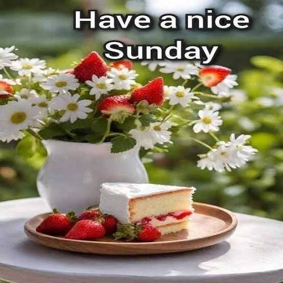 Good Morning and Happy Sunday!
This beautiful Sunday morning is a reminder of God's unfailing love,...