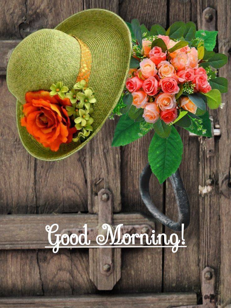 Good morning Lekeelekee family.
Genesis 27:28 Therefore God give thee of the dew of heaven, And the...