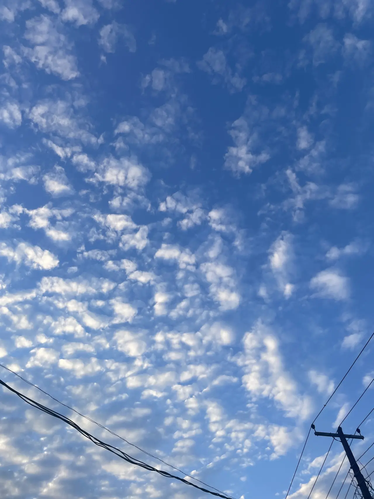 The sky is so beautiful today. Maybe it’s a sign that all is well. ☁️🤍