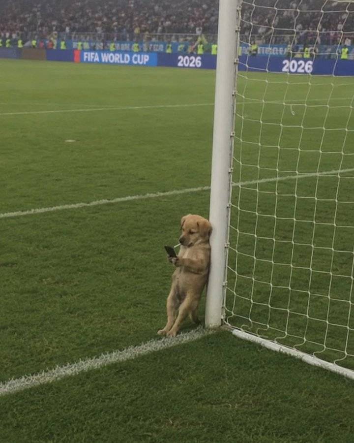 When you watch your security guard (on your CCTV), leave his duty post for a World Cup match at 0000...