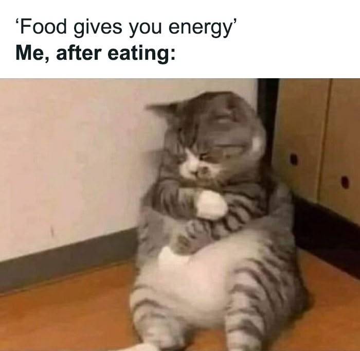 Energy giving food โ
sleep giving food โ
๐ ๐