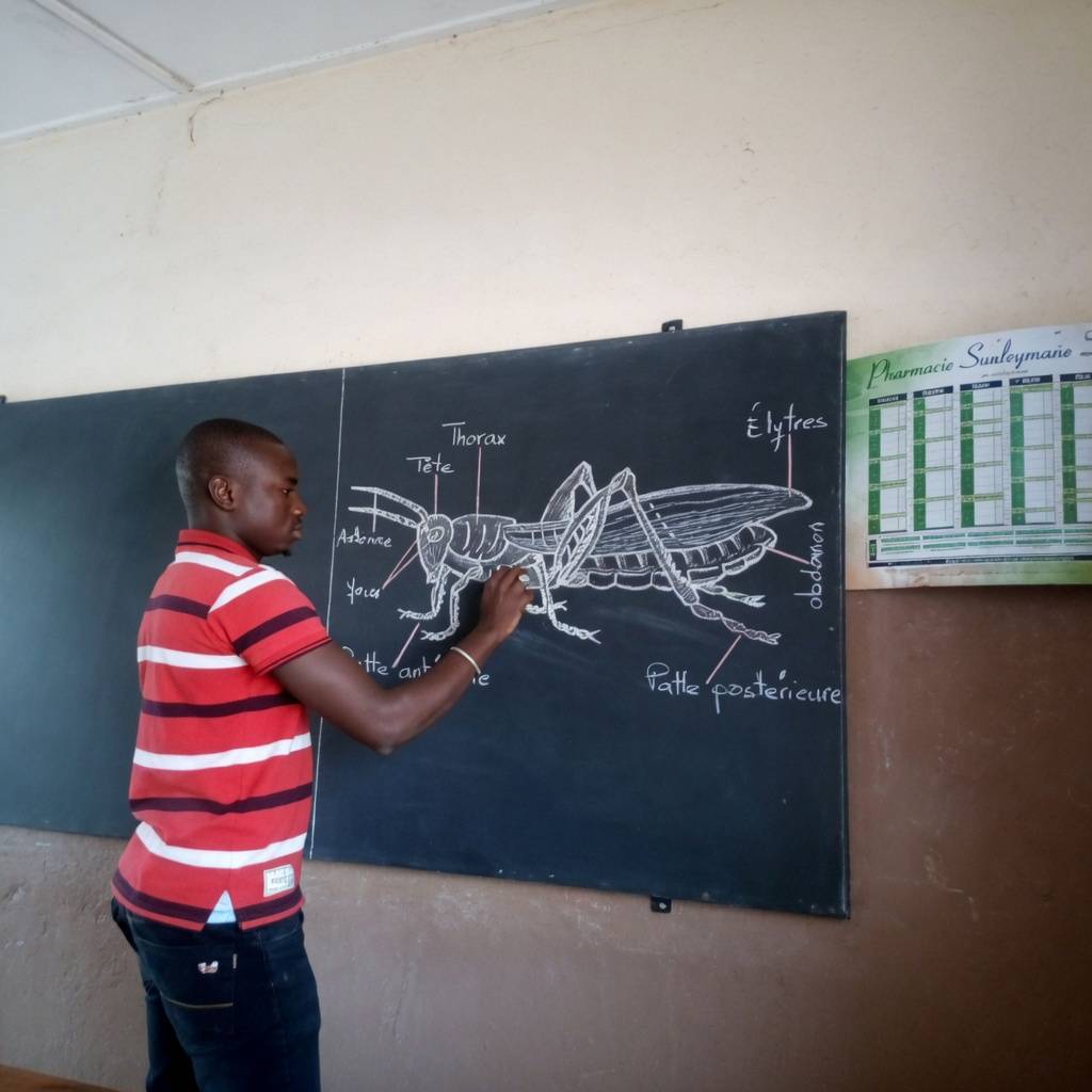 While students in china were learning how to build machines and microchips, we were learning parts o...