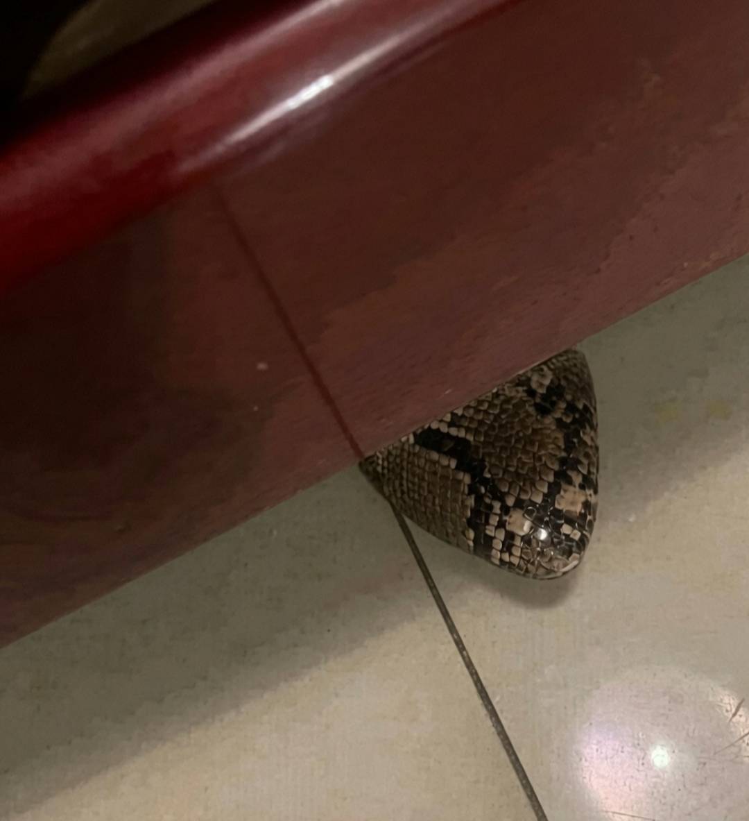 Ladies please be mindful of the kind of shoes you wear oh.
I nearly had heart attack in the bank th...