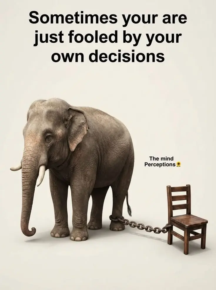 Sometimes you are just fooled by your own decisions
You keep living inside limits
you placed on y...