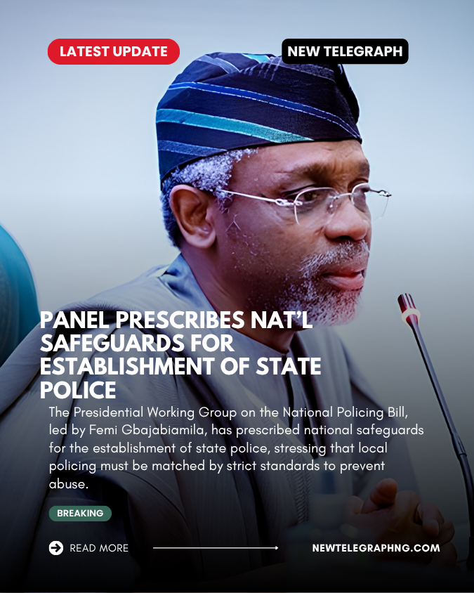 The Presidential Working Group on the National Policing Bill, led by Femi Gbajabiamila, has prescrib...
