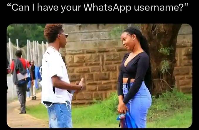 Sooner na WhatsApp username we go dey ask not WhatsApp number 🤣