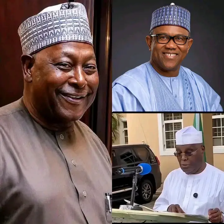 Atiku called me and told me that he wanted to work with me.
He gave me a mission to convince Peter...