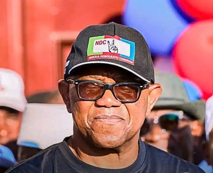Presidential candidate of the Nigeria Democratic Congress (NDC), Peter Obi, has promised to restore...