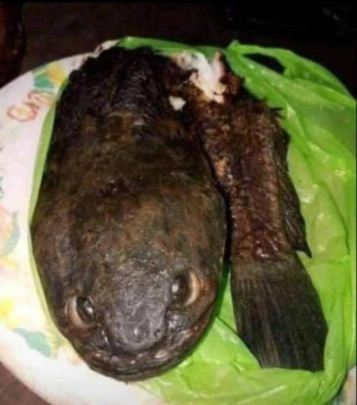 Na buy I buy you o, nor be me kill you, abeg o๐