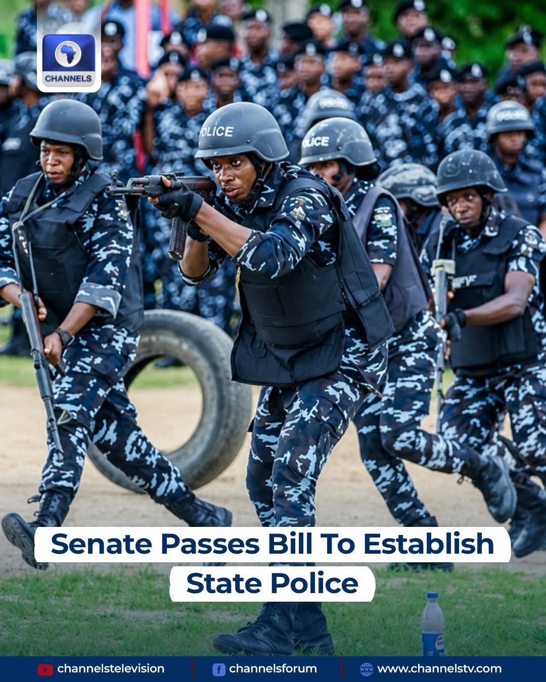 What are your thoughts on State police ?
