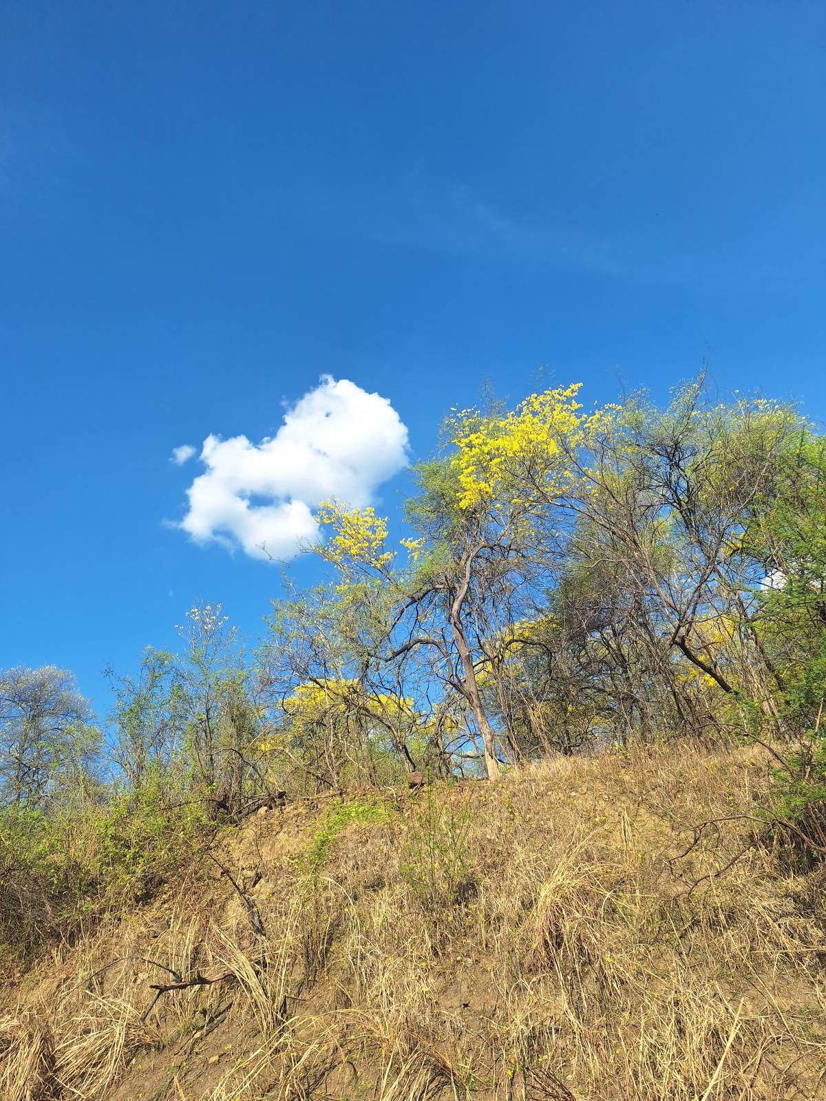 The sky is beautiful today! Every Monday is a new opportunity to write an incredible story☀️🌳