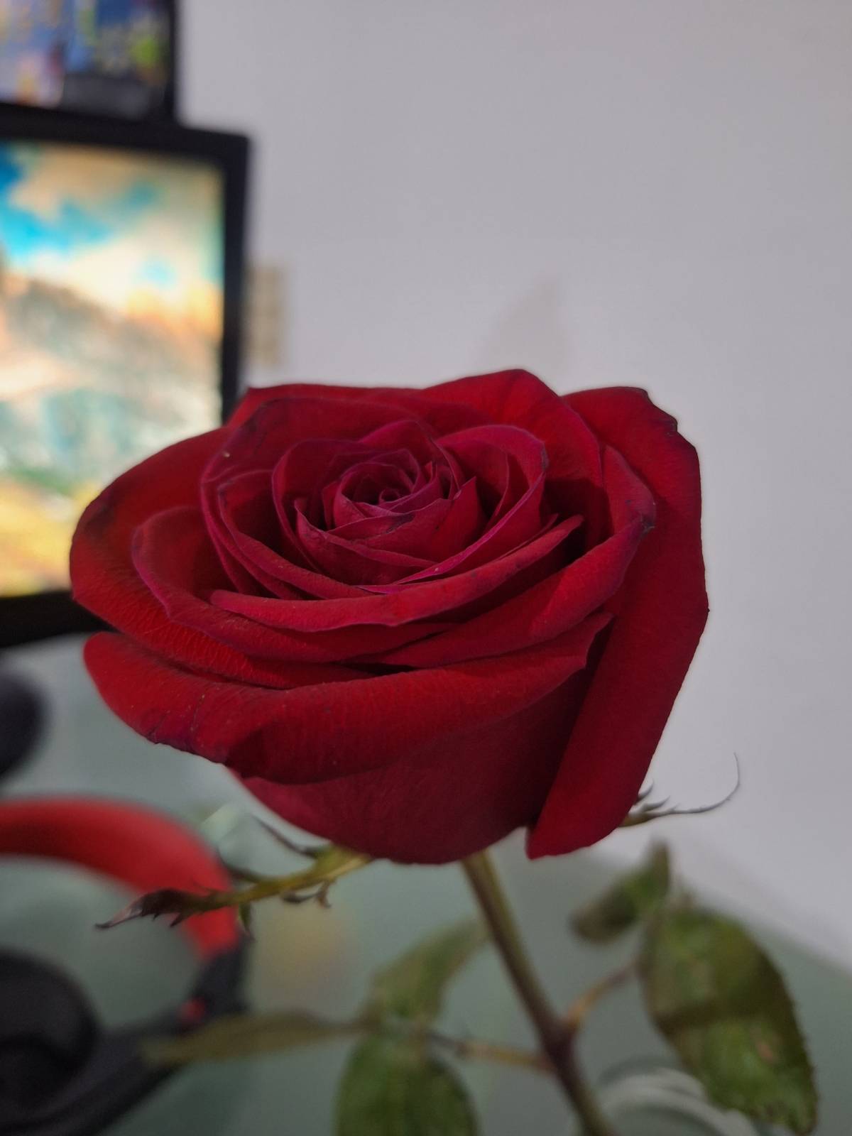 A lovely little something to start my day with great energy. I fall more in love with life every day...