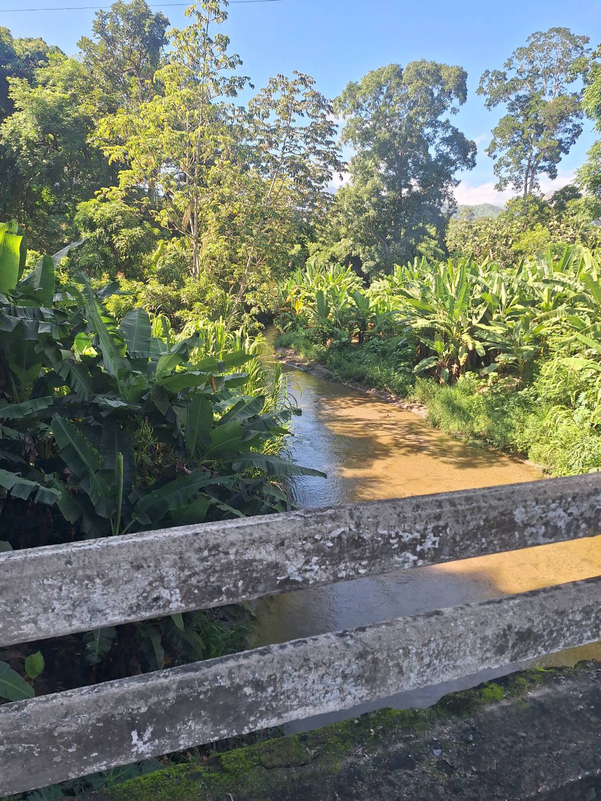 Don't you ever find that taking a walk in nature completely recharges your energy? It happens to me...