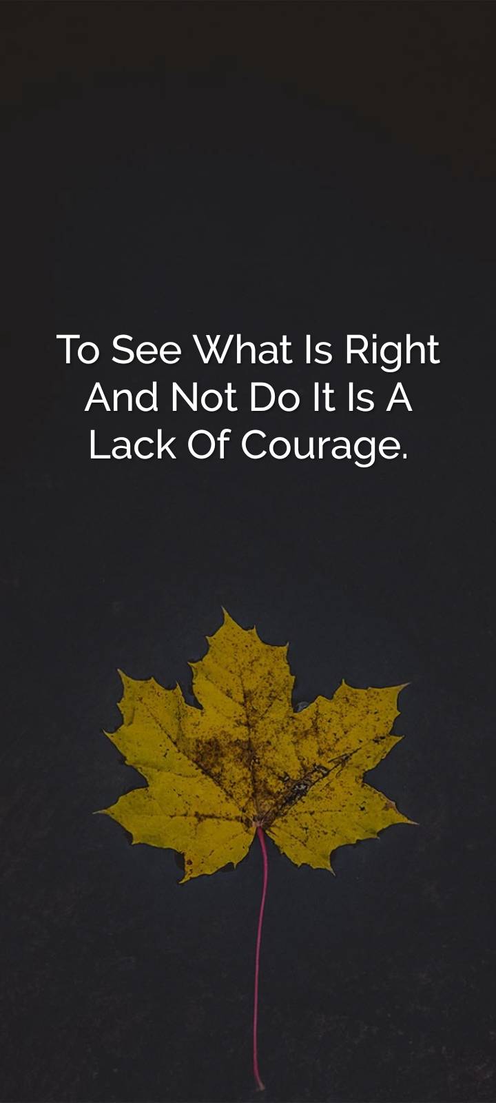TO SEE WHAT'S RIGHT AND NOT DO IT IS LACK OF COURAGE......