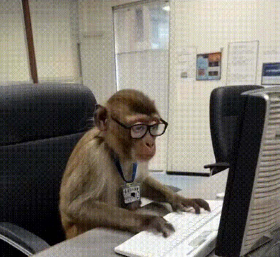 HAPPY WEEKEND Y'ALL @lekeelekee
THIS IS WHAT WE SAY MONKEY DEY WORK........