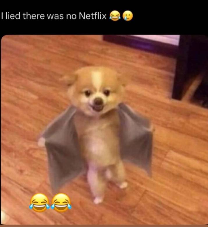I lied there was no Netflix ๐ ๐ข
Se watin weather don cause ๐
#LLTBT #LLthrowbackthursday