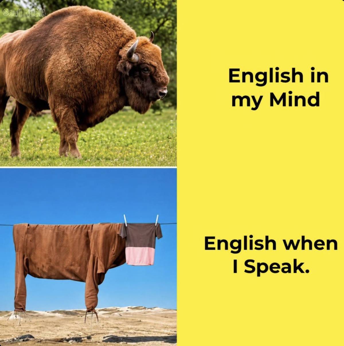 ENGLISH IN MY MIND
VS
ENGLISH WHEN I SPEAK ๐๐ฃ๏ธ
๐ ๐