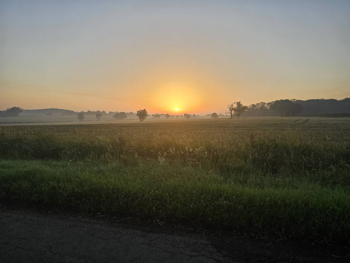 The early bird catches the worm...
