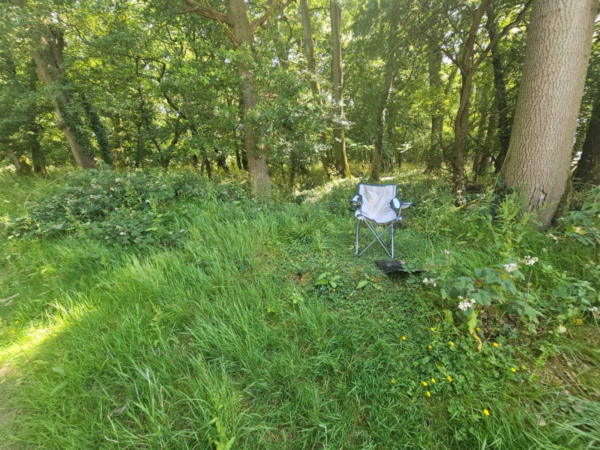 Woodlands / Forests can drop temperature by up to 15C...apparently. I am putting this to the test fo...