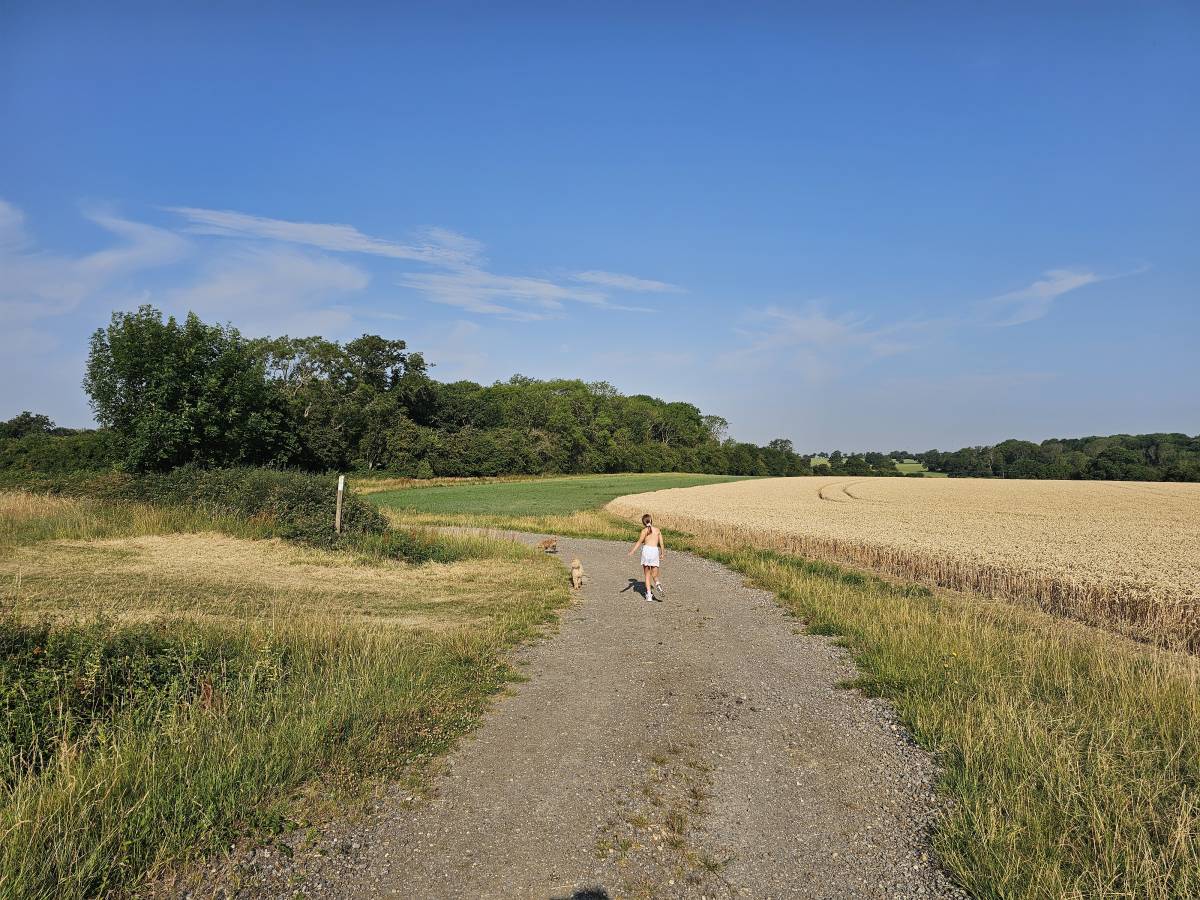 The school holidays have started so a quick walk before work with Sass and my Mum's dogs.