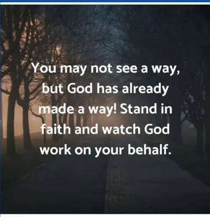 Post by Shuaib Felix