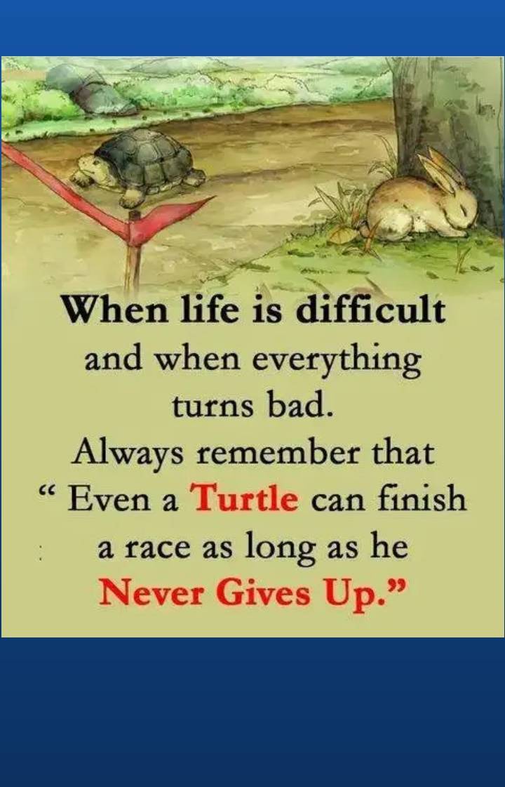 Post by Shuaib Felix
