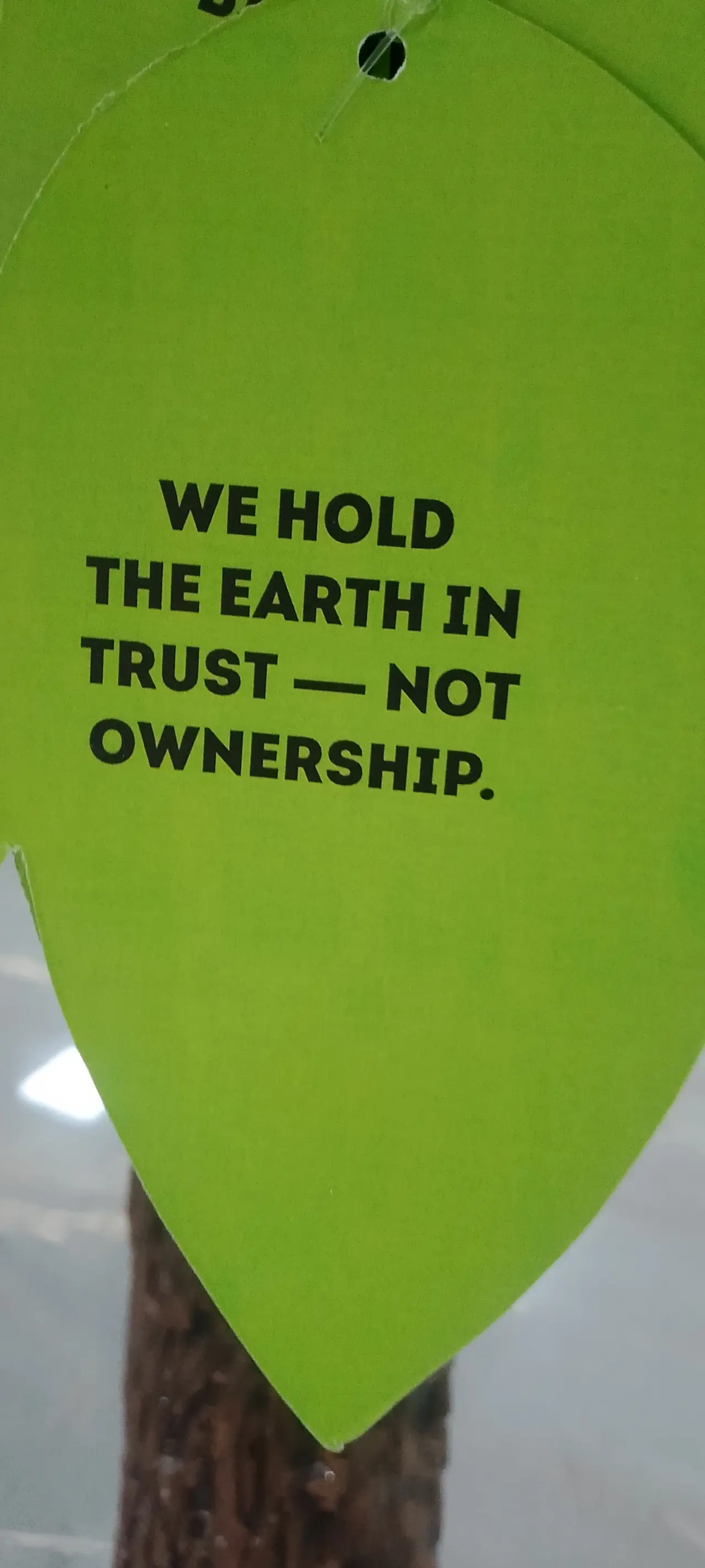 NO ONE OWNED THE EARTH.