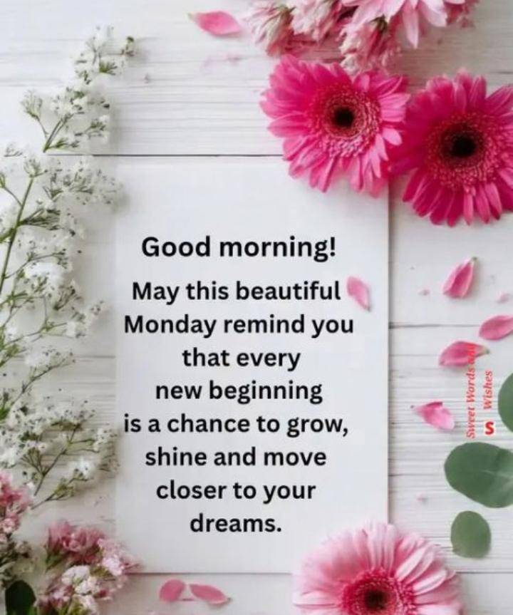Happy new week