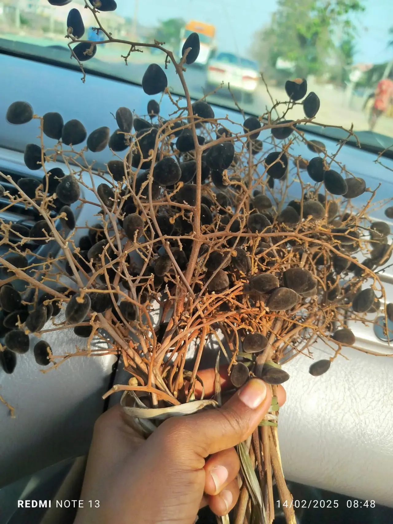 When I just want to eat something sweet 😋 

Velvet Tamarind, locally known as abacheleku. 

It has...