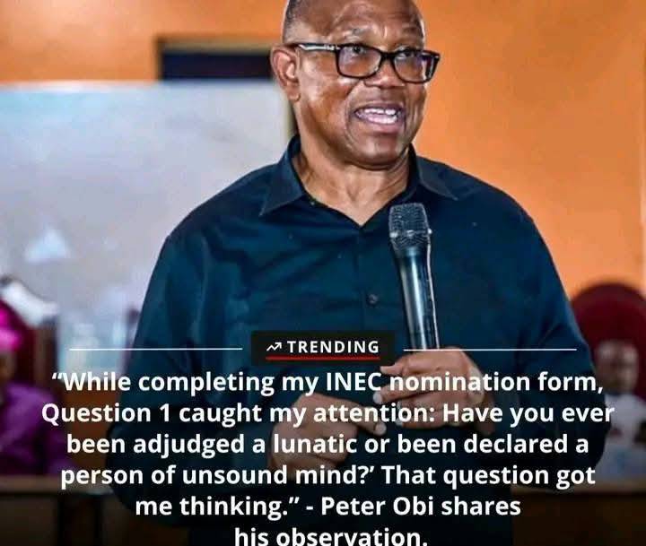 While completing my INEC nomination form yesterday, Section E, Question 1 caught my attention. It as...