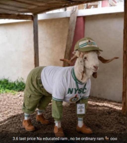 3.6M last last price, na educated ram. no be ordinary ram.