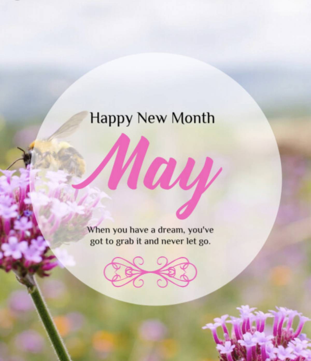 Happy New Month 🌸
May is not here for wishful thinking — it’s here for action.
Dreams don’t grow by...