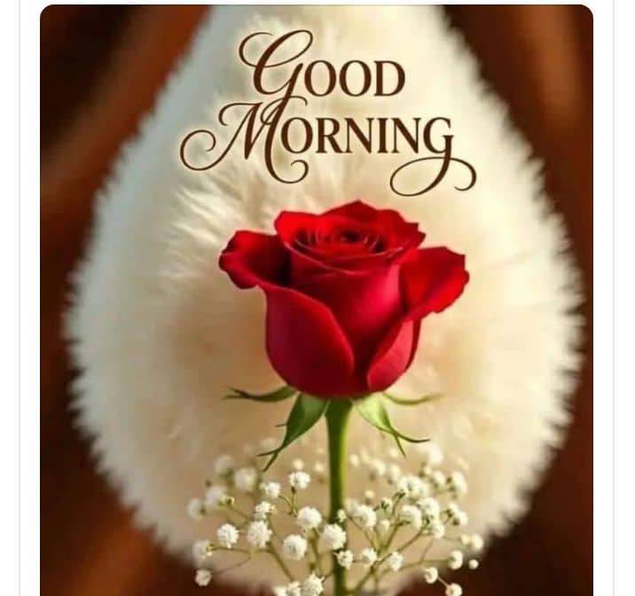 Good morning, have a blessed Thursday.